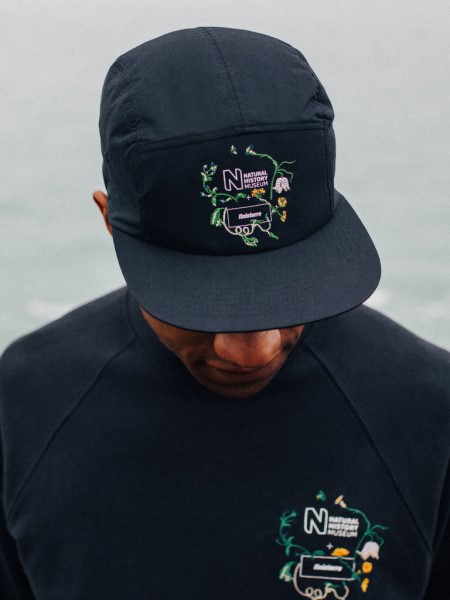 Finisterre Cap Natural History Museum